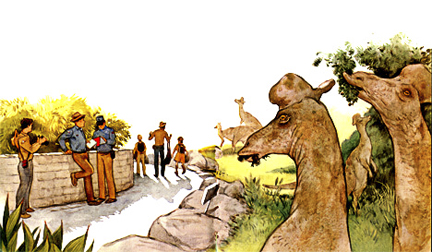 ../How Much Do They Eat?