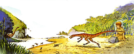 No Bigger Than a Chicken