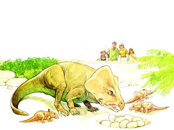 Szechuan and her babies