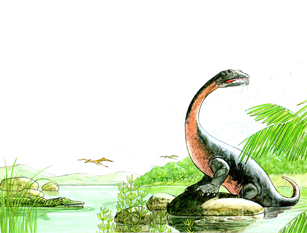 The Nothosaur