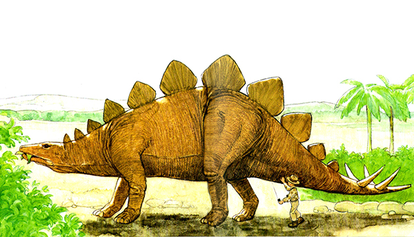 Petting the Stegosaur