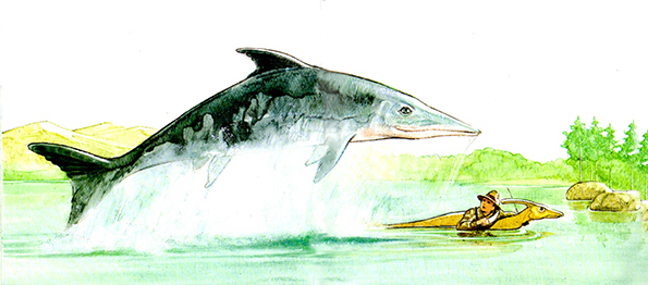 To Swim in Dinosaur Sea