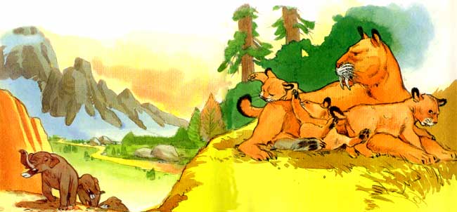 Sabertooth tigers and kittens